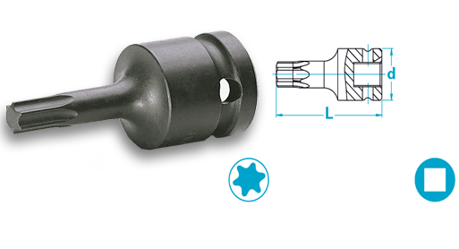 適用于內螺紋 Torx? 螺絲